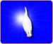 CFL Candle 7W BC Bent tip